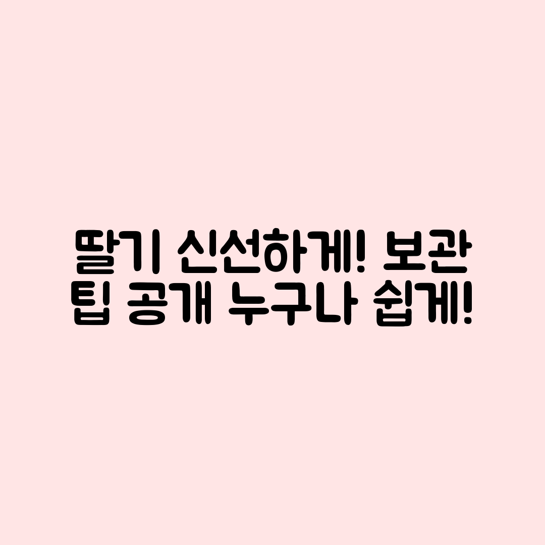 누구나 쉽게 딸기 신선하게 보관하는 팁