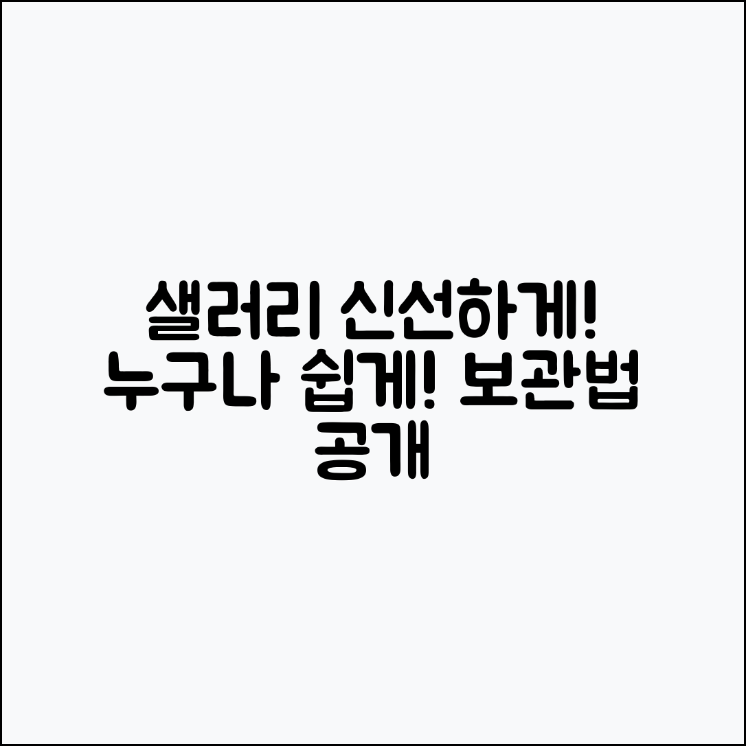 누구나 쉽게 할 수 있는 샐러리 싱싱하게 보관하는 법