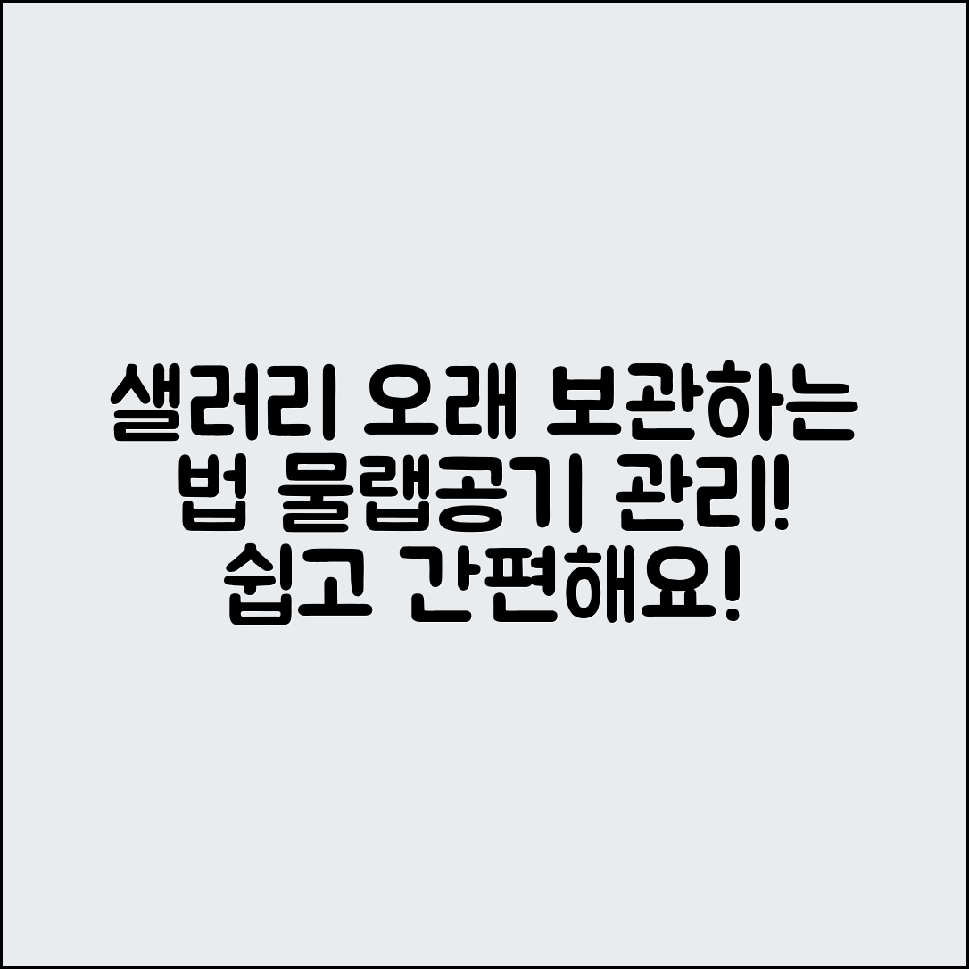 샐러리 오래 보관하는 쉬운 방법: 물·랩·통풍 관리!