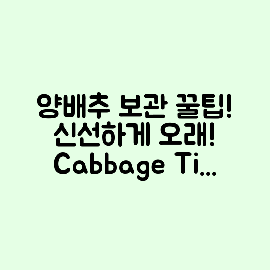 놀라운 양배추 오래 보관 꿀팁 대공개!