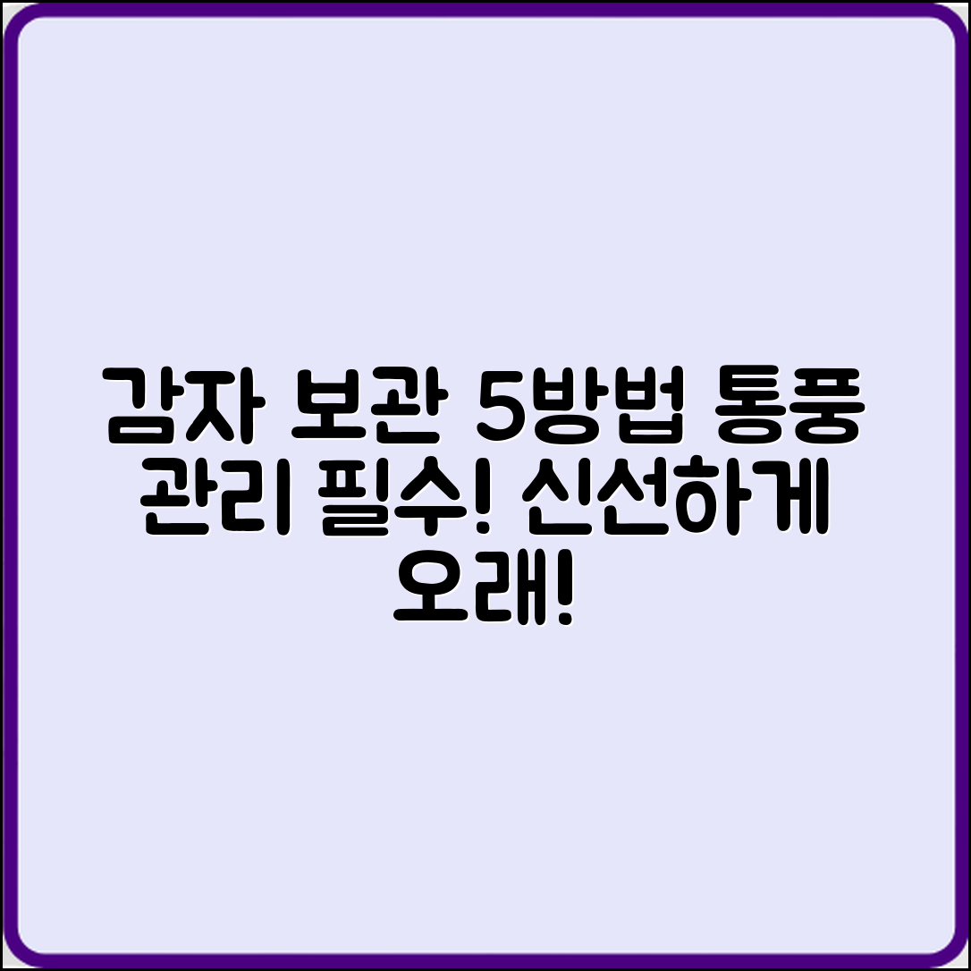 감자 오래 보관하는 5가지 방법과 통풍 관리