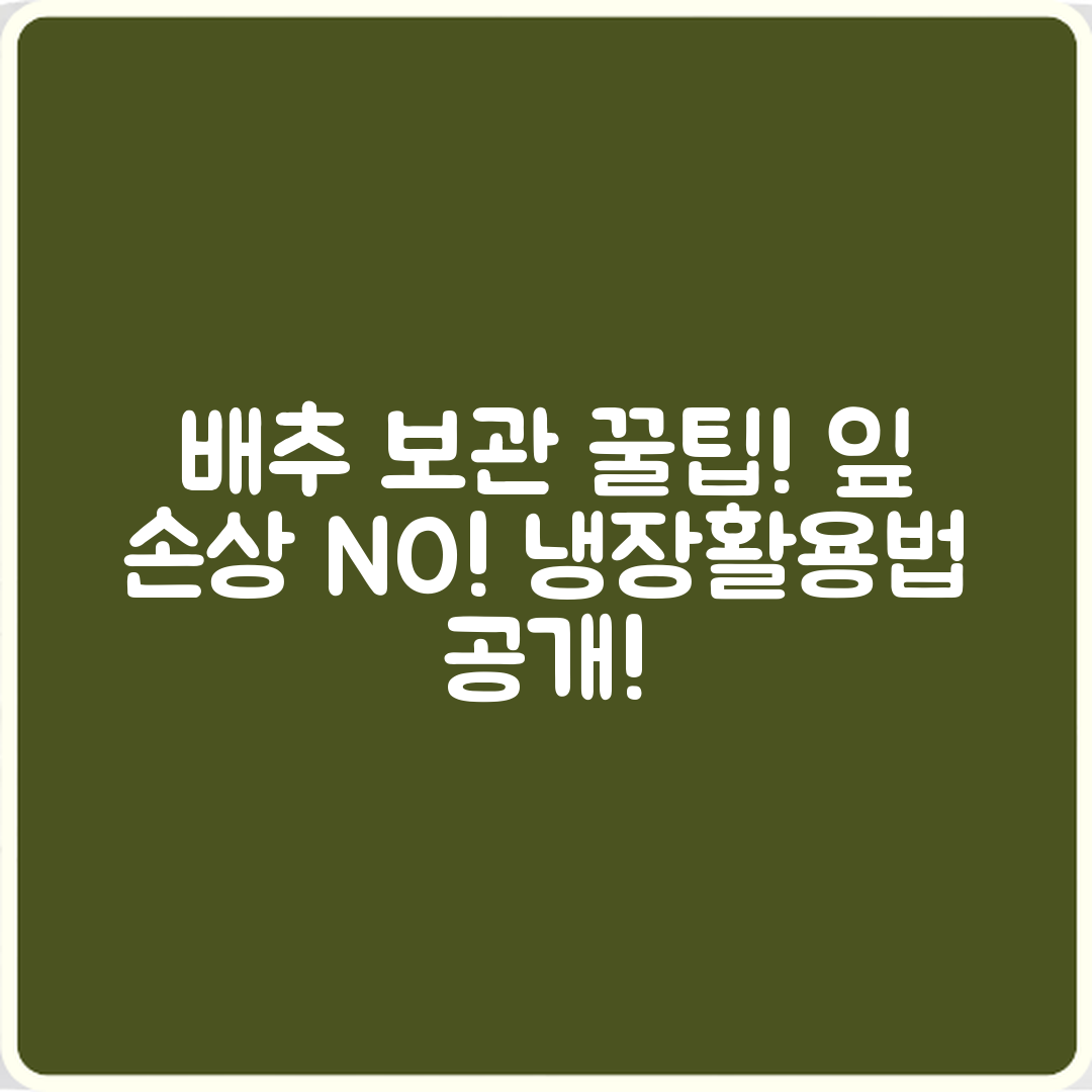 배추 장기 보관 팁 5가지: 잎 손상 방지 및 냉장 활용법