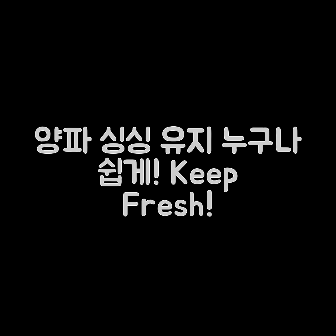 누구나 쉽게 양파 싱싱도 유지하는 법