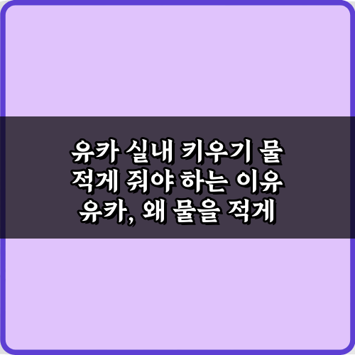 실패 없이 유카 실내 키우기 물 적게 줘야 하는 이유 5가지