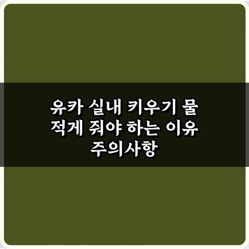 실패 없이 유카 실내 키우기 물 적게 줘야 하는 이유 5가지