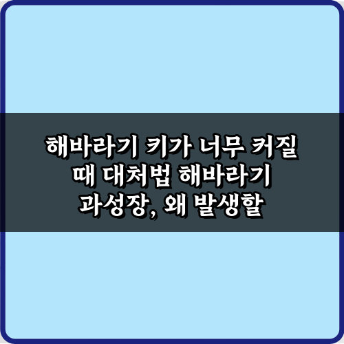 해바라기 키가 너무 커질 때 대처법 총정리! 과성장 방지 팁 7가지