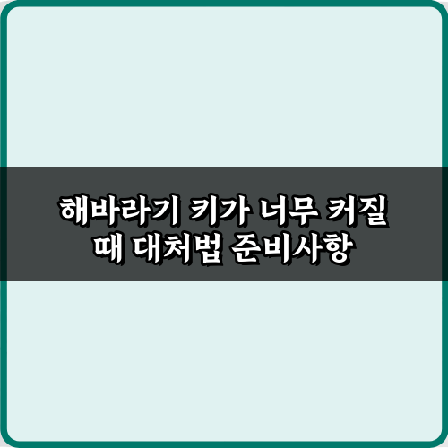 해바라기 키가 너무 커질 때 대처법 총정리! 과성장 방지 팁 7가지