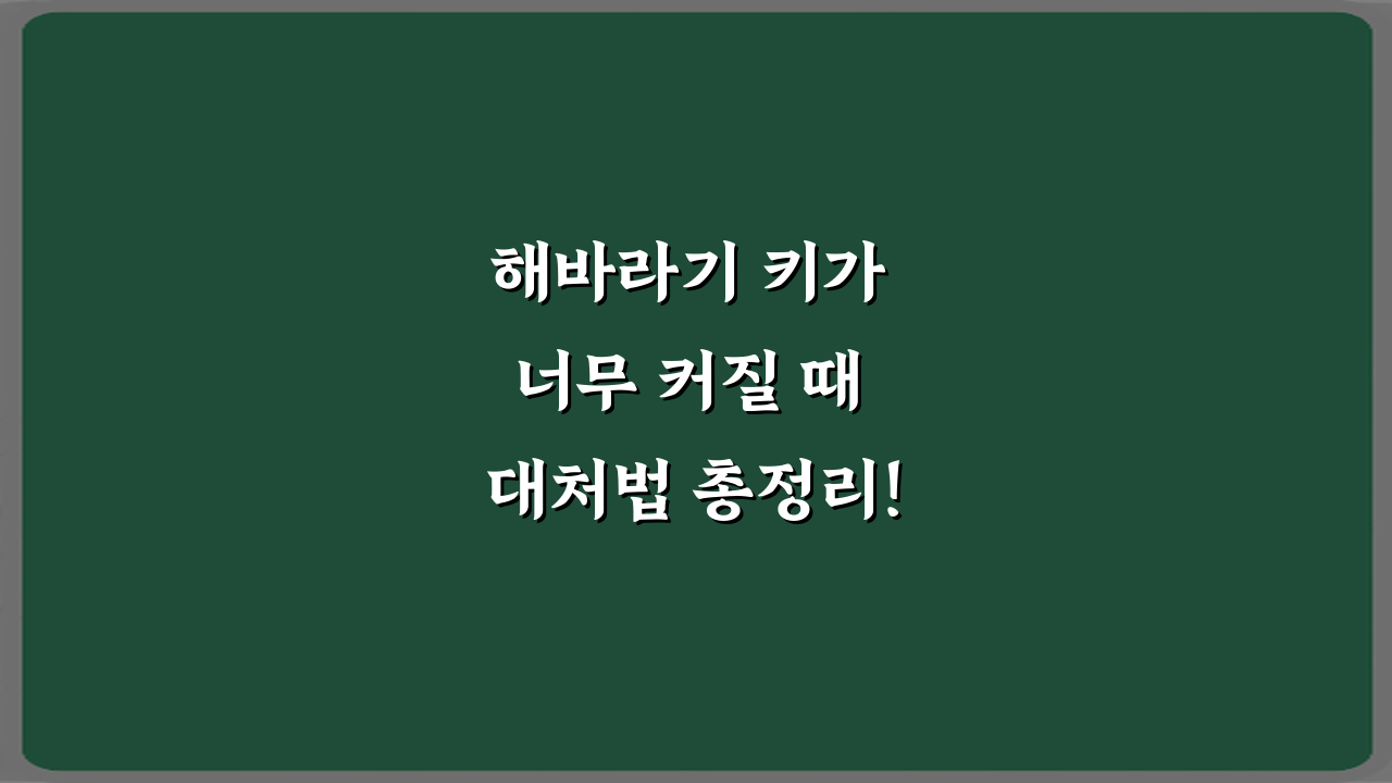 해바라기 키가 너무 커질 때 대처법 총정리! 과성장 방지 팁 7가지