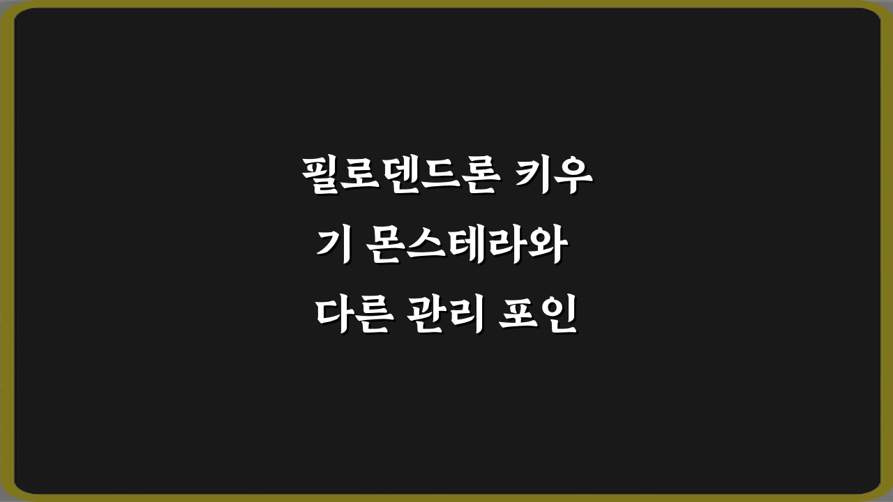 필로덴드론 키우기 몬스테라와 다른 관리 포인트, 실패 없는 5가지 노하우
