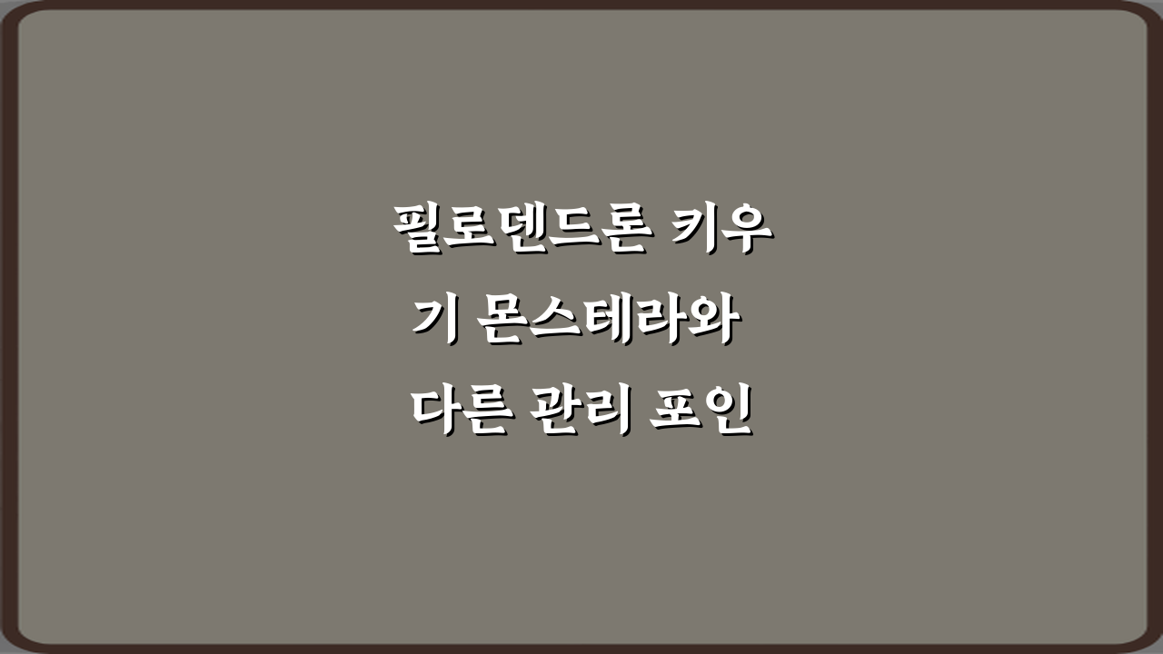 필로덴드론 키우기 몬스테라와 다른 관리 포인트, 실패 없는 5가지 노하우