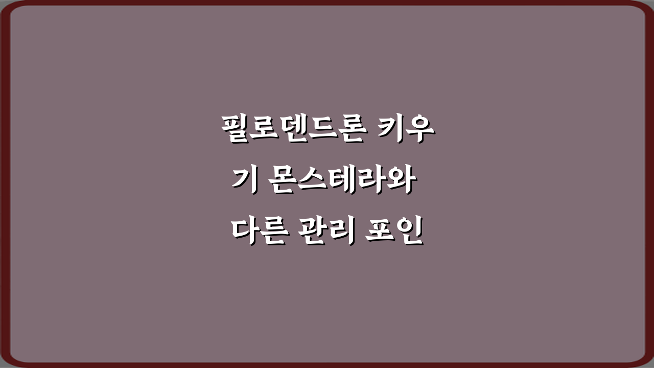 필로덴드론 키우기 몬스테라와 다른 관리 포인트, 실패 없는 5가지 노하우