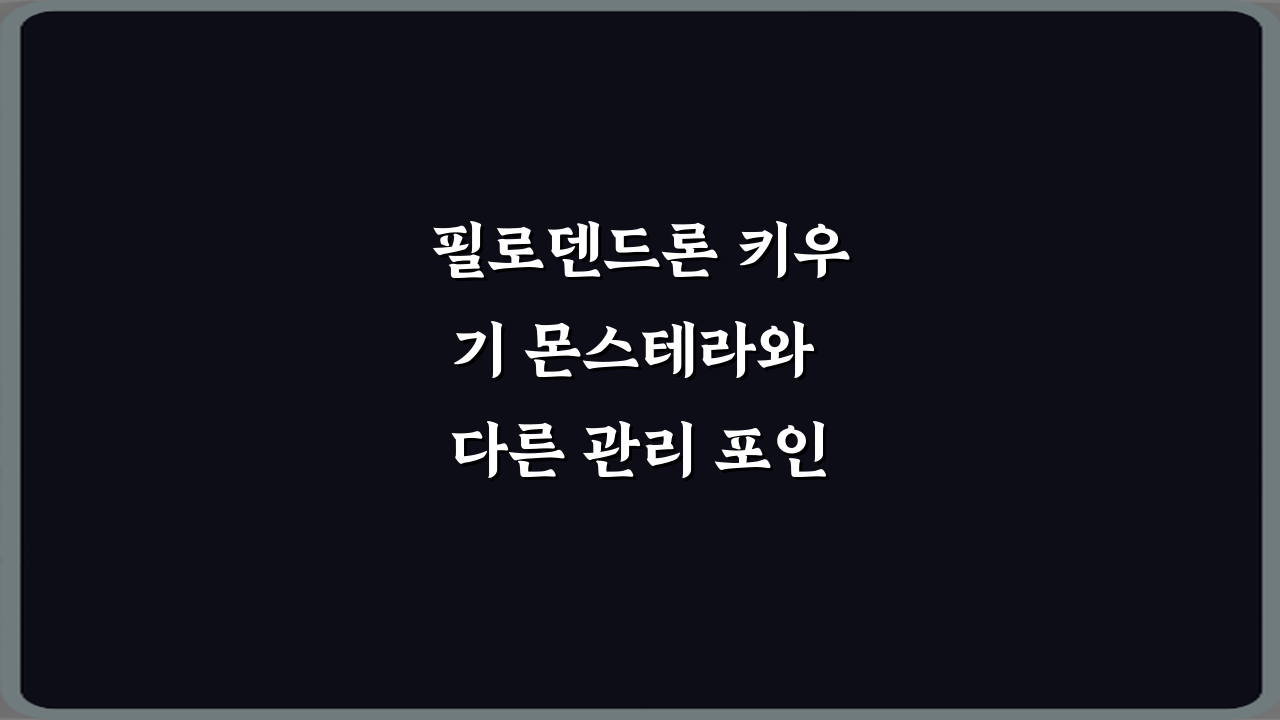 필로덴드론 키우기 몬스테라와 다른 관리 포인트, 실패 없는 5가지 노하우