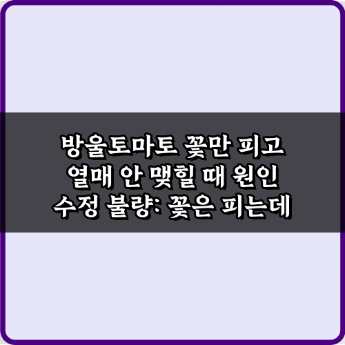 방울토마토 꽃만 피고 열매 안 맺힐 때 원인, 7가지 해결 비법!