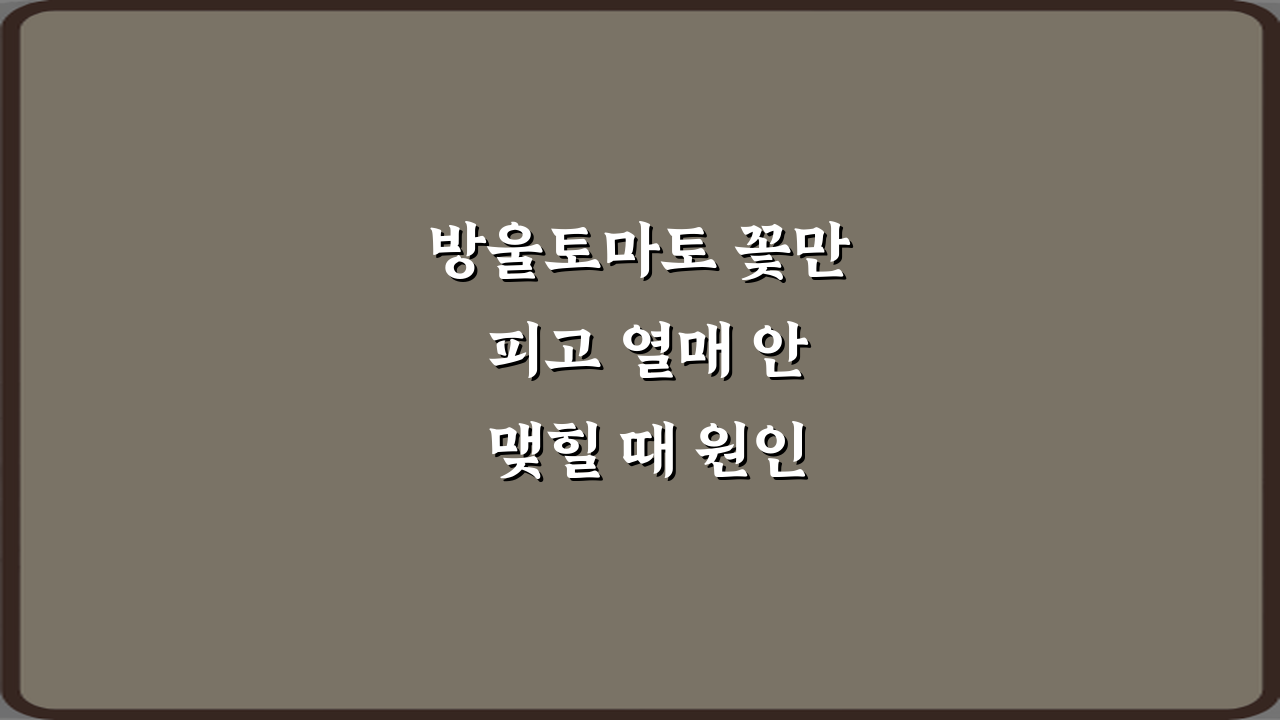 방울토마토 꽃만 피고 열매 안 맺힐 때 원인, 7가지 해결 비법!