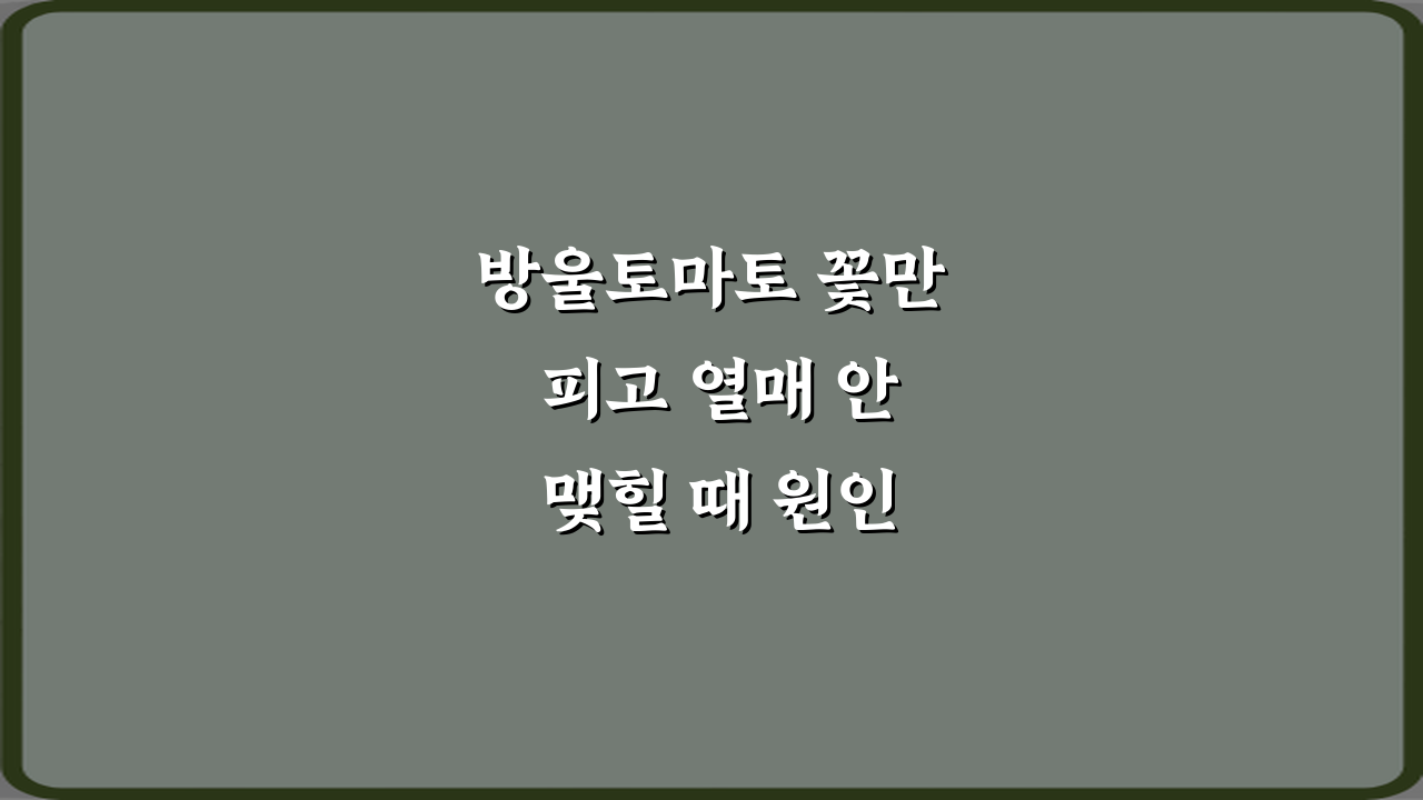 방울토마토 꽃만 피고 열매 안 맺힐 때 원인, 7가지 해결 비법!