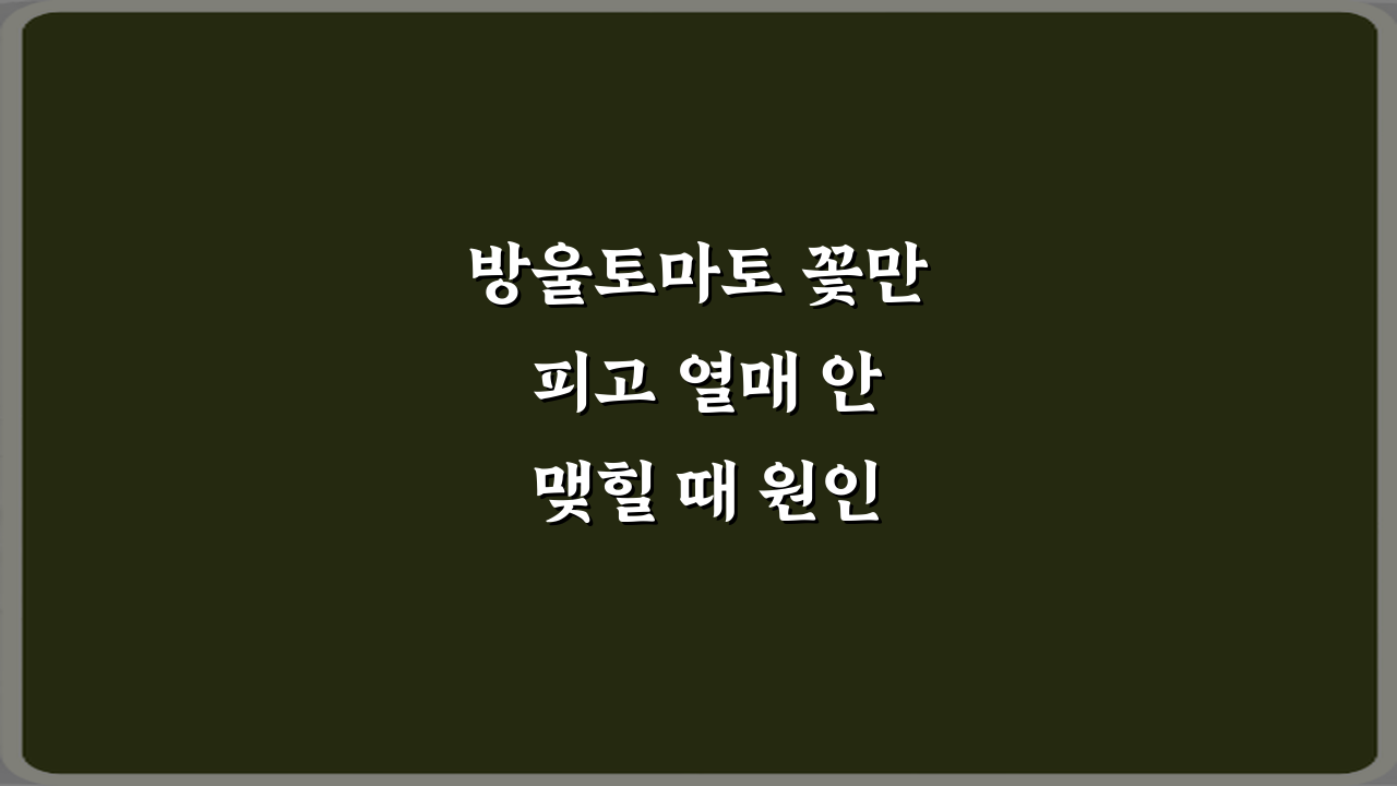 방울토마토 꽃만 피고 열매 안 맺힐 때 원인, 7가지 해결 비법!