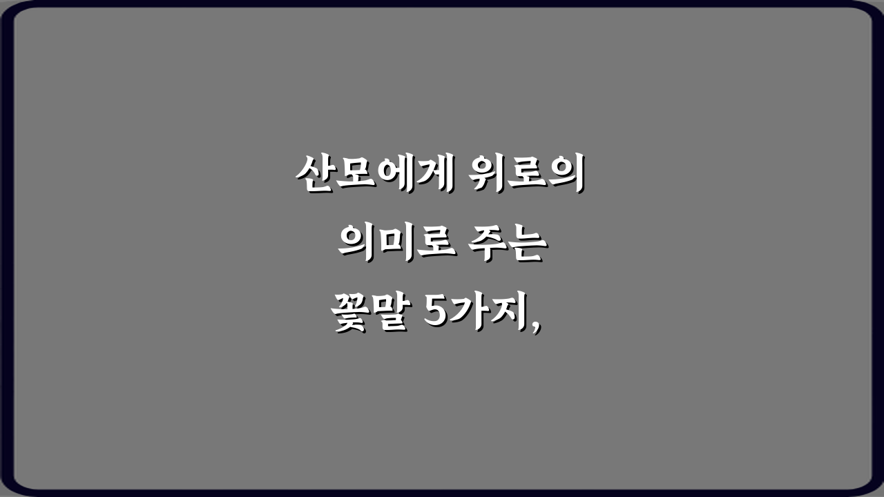 산모에게 위로의 의미로 주는 꽃말 5가지, 마음 전하는 비법