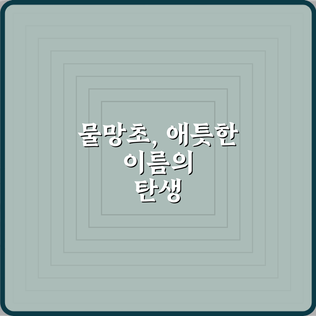 물망초가 나를 잊지 말아요가 된 슬픈 전설, 5분 총정리!