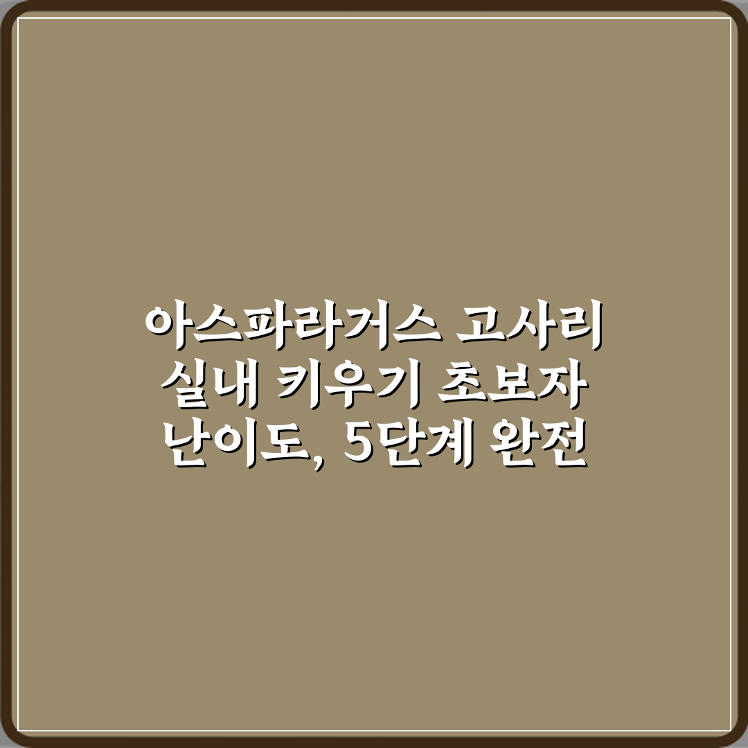 아스파라거스 고사리 실내 키우기 초보자 난이도, 5단계 완전 정복!