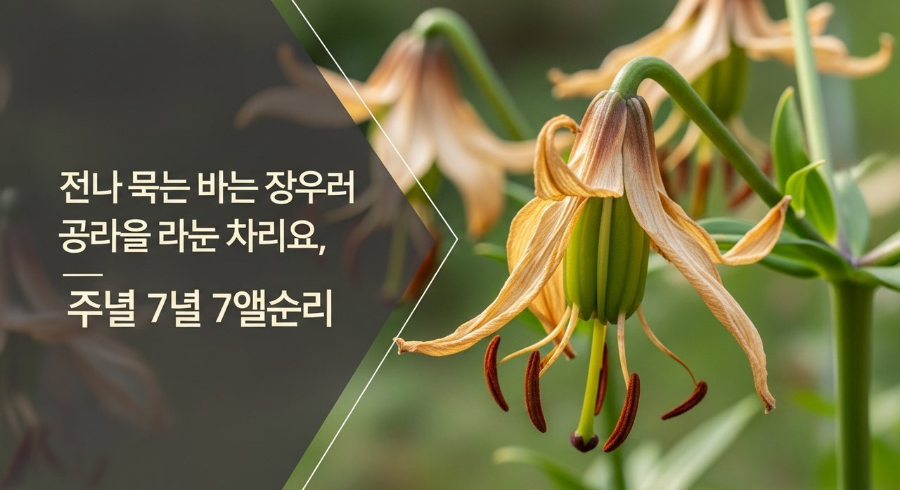 백합 꽃 진 뒤 관리 방법, 내년에도 피우는 7가지 비법