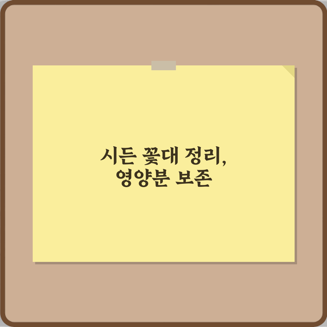 백합 꽃 진 뒤 관리 방법, 내년에도 피우는 7가지 비법