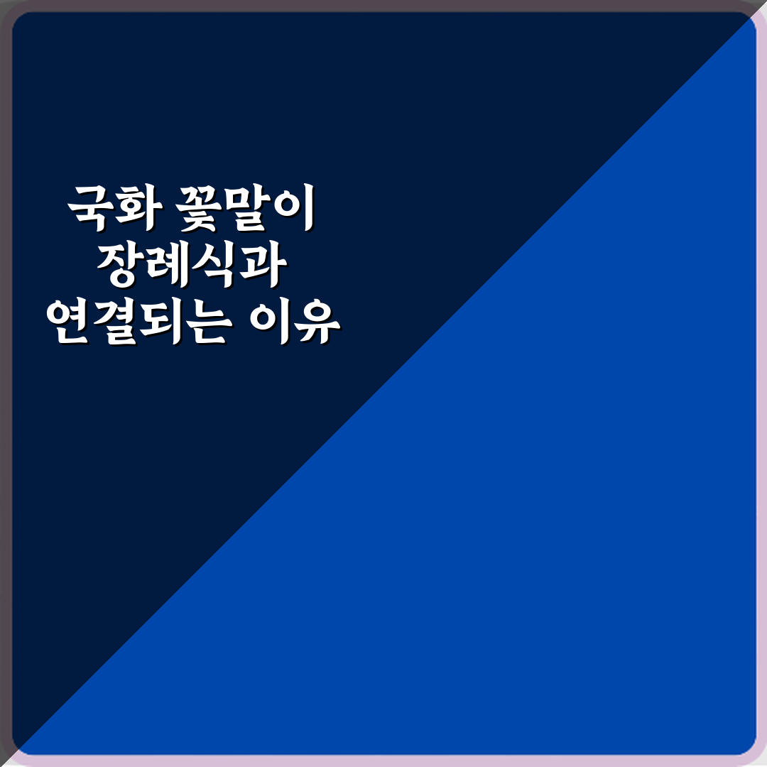 국화 꽃말이 장례식과 연결되는 이유 5가지 총정리