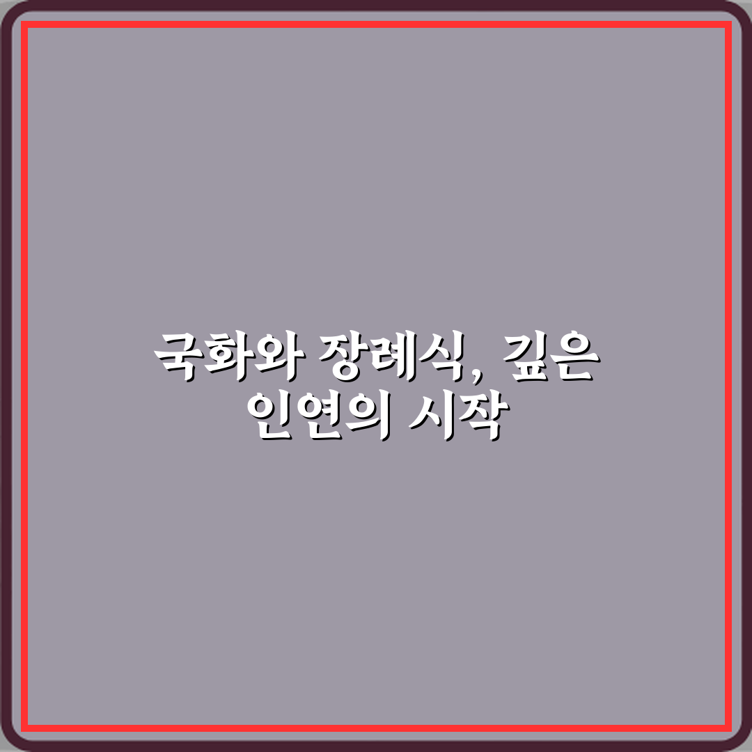 국화 꽃말이 장례식과 연결되는 이유 5가지 총정리