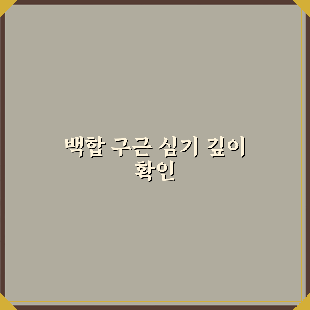 백합 키우기 구근 심는 깊이 기준 완벽가이드 7단계 심층분석