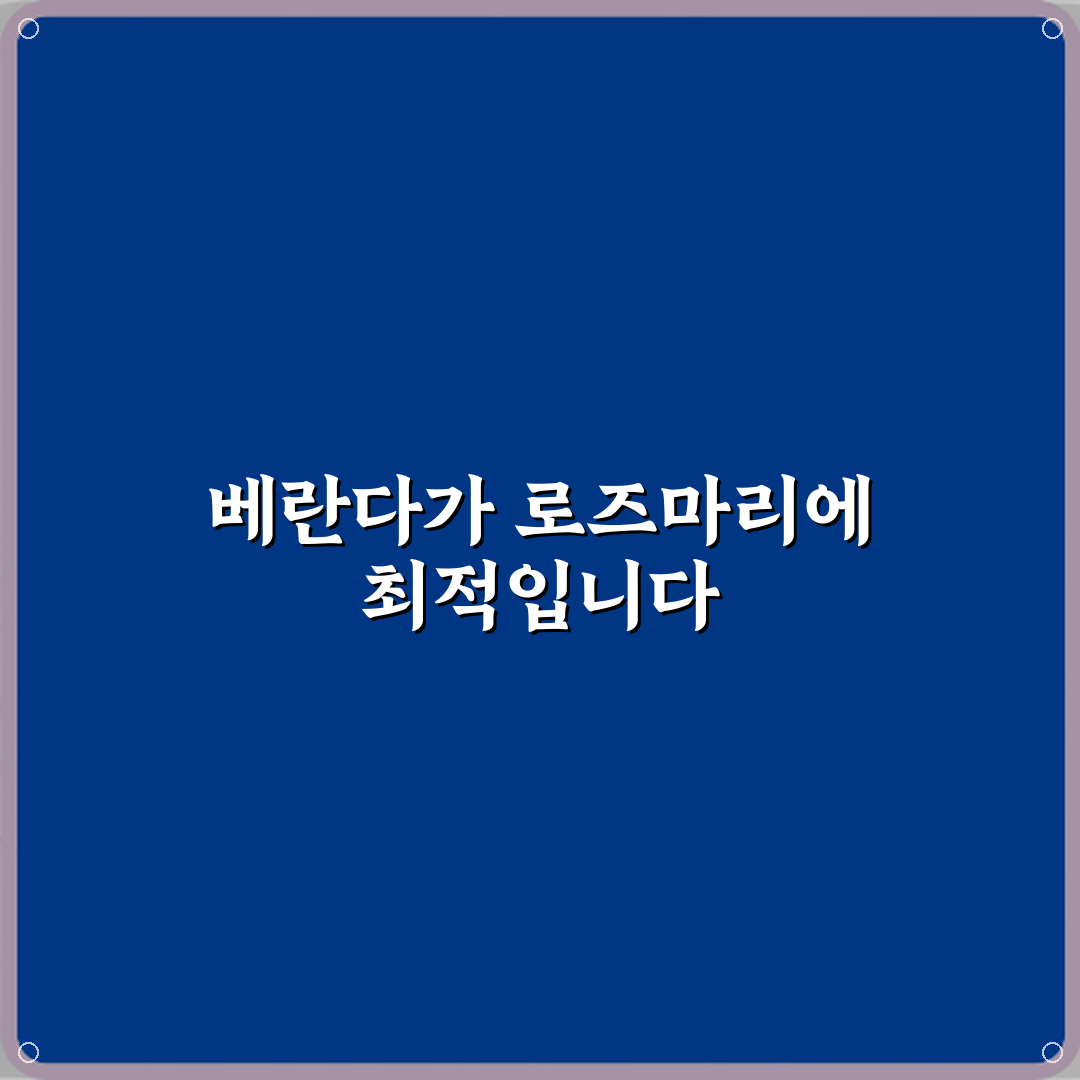 로즈마리 키우기 실내보다 베란다가 좋은 이유 직접 해봤어요, 솔직후기