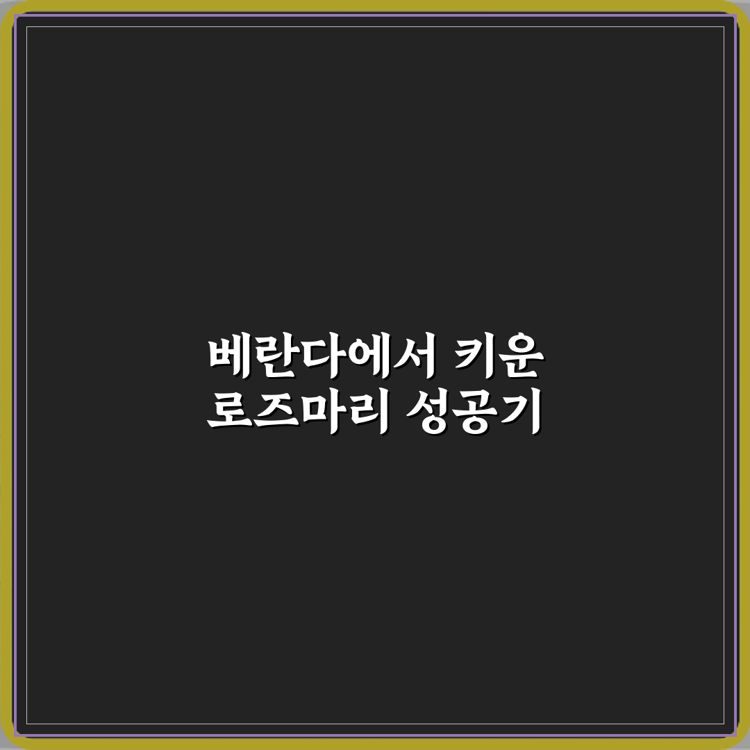 로즈마리 키우기 실내보다 베란다가 좋은 이유 직접 해봤어요, 솔직후기