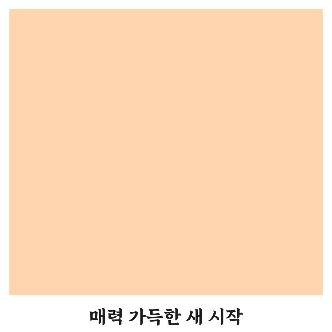 라넌큘러스 꽃말이 매력적인 당신인 이유 꿀팁 알려드려요