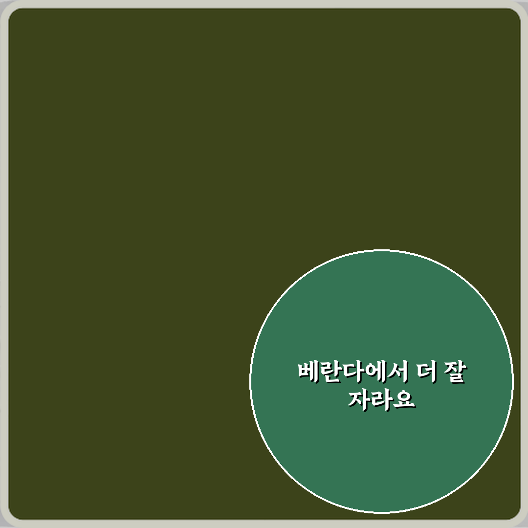 로즈마리 키우기 실내보다 베란다가 좋은 이유 직접 해봤어요, 솔직후기